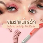 ขนตาแม่เหล็ก