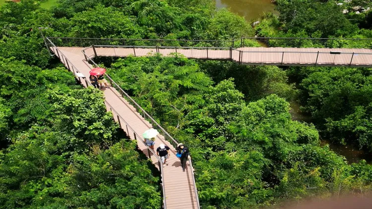 ป่าในกรุง